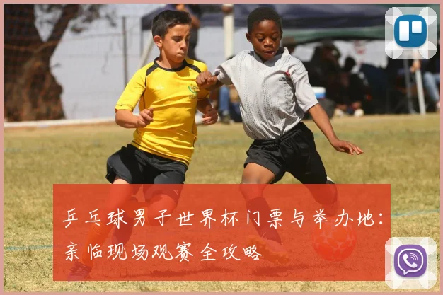 乒乓球男子世界杯门票与举办地:亲临现场观赛全攻略