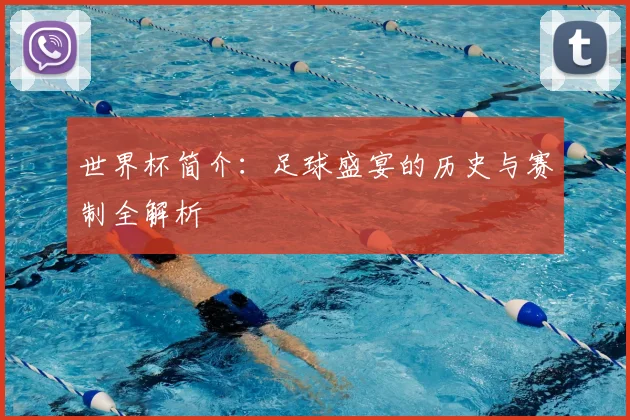 世界杯简介：足球盛宴的历史与赛制全解析