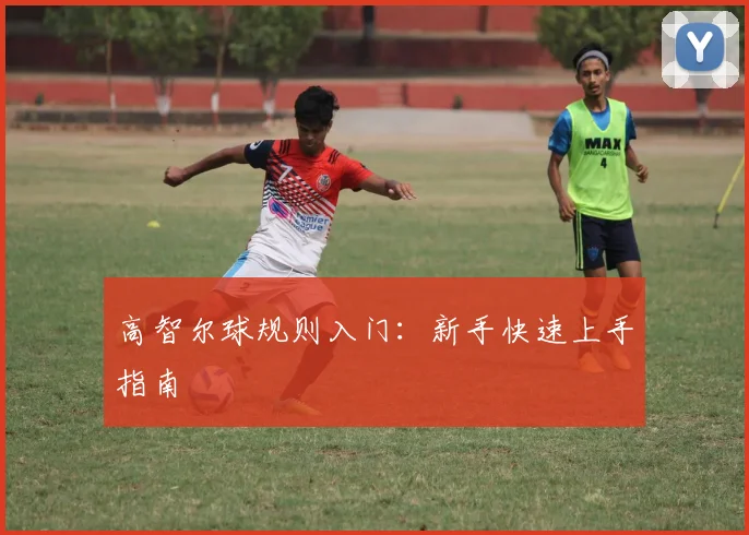 高智尔球规则入门：新手快速上手指南