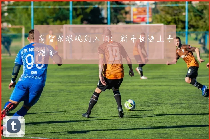 高智尔球规则入门：新手快速上手指南